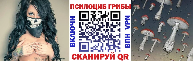 купить закладку  Называевск  kraken рабочий сайт  Псилоцибиновые грибы прущие грибы 